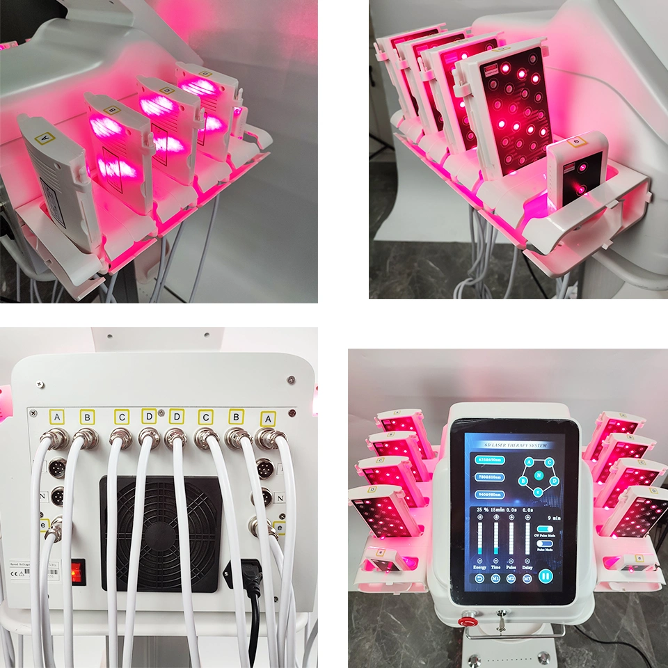 Máy hút mỡ laser Lipo 6D tiên tiến với 635nm 650nm 780nm 810nm 940nm 980nm 3